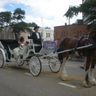 Camelot Carriage Service & Clydesdale Horses