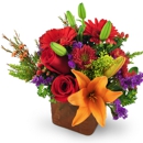 Flower Snobs @ Cityview Florist and Gifts - Delivery Service