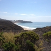 Crystal Cove State Park gallery