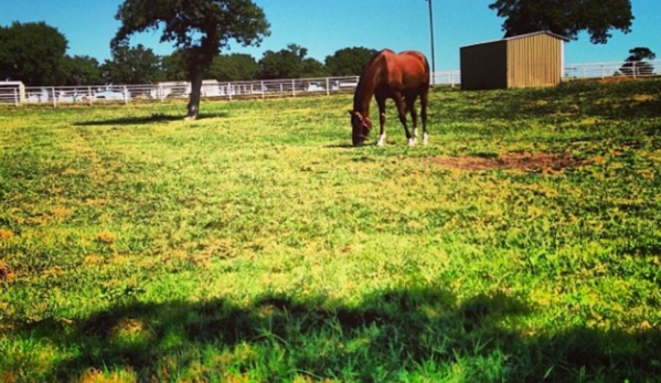 Cadence Equestrian Center - Edmond, OK