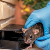 All Friendly Mole Control & Pest Services gallery