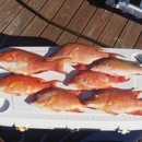 West Coast Native Fishing Charters - Fishing Bait