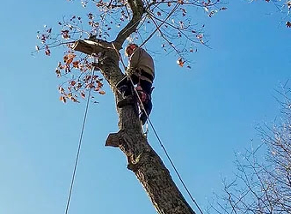 Lasky Tree Services - Southbury, CT