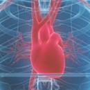 Cardiovascular Associates - Physicians & Surgeons