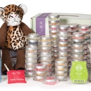 Wicklessmolly~Scentsy Independent SuperStar Director - Candles