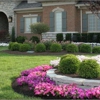 Quality Landscaping LLC gallery