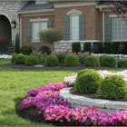 Quality Landscaping LLC