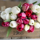 Palo Floral Shop