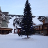 Selkirk Powder: Guides gallery