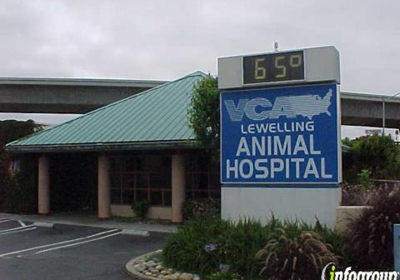 lewelling veterinary hospital