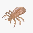 Remedy Head Lice Removal & Treatment Center Grand Rapids and Lansing - Medical Clinics