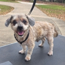 AK Canines Mobile Dog Grooming - Pet Services