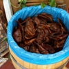 Mahogany Smoked Meats gallery