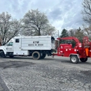 Knock On Wood Tree Service - Tree Service