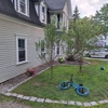 Willett's Forest and Property Maintenance gallery
