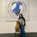 Dog Training Elite Northeast Ohio Facility - Dog Training