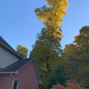 Anthony's Tree Service & Landscape - Snow Removal Service