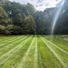 All Year Lawn gallery
