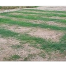 AC Septic Service - Septic Tank & System Cleaning