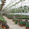 Kent Countryside Nursery gallery