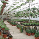 Kent Countryside Nursery