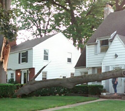 Extreme Tree Service - Swanton, OH