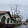 Jack Benignos Tree Service Inc gallery