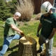 Hansen's Tree Service & Landscaping