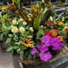 Brumley Gardens & Landscape gallery