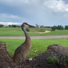 Reunion Resort Luxury Rental gallery