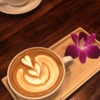 Cafein gallery