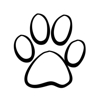 Athens Animal Clinic gallery