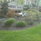 Ceciliano Landscaping