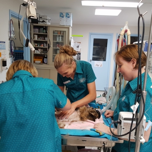 Para Hills Veterinary Clinic - Para Hills, SA