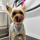 Spotless Groomers - Mobile Pet Grooming - Mobile Pet Grooming