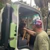 JDog Junk Removal & Hauling Naples gallery