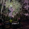 Dylan's Tree Service and Landscaping gallery