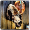 Iron Pig BBQ & Stew gallery