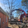 Tall Guy Tree Service gallery