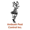 Ambush Pest Control gallery