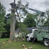 Thompson Tree Care and Landscaping gallery