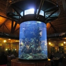 Champion Aquariums - Public Aquariums