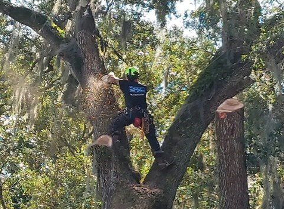 All Weather Tree Service - Mulberry, FL