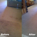 Wellington Carpet Cleaning - Upholstery Cleaners