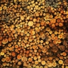 Blandin Paper Co gallery