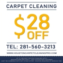 HOUSTON TX CARPET CLEANING PRO - Carpet & Rug Cleaners
