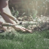 Professional Landscape Services gallery