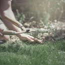Professional Landscape Services - Gardeners