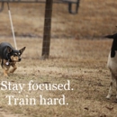 Promise Pastures Herding and Training Facility - Pet Grooming