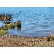Gallery Image Number 5